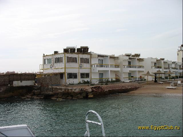 ������ ��� 2006