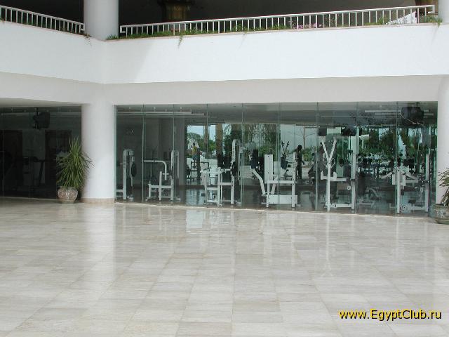 ������ �����