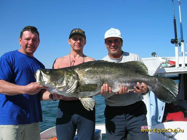 ������� � ������