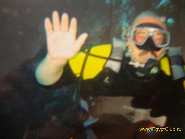 #21 - �������-����������