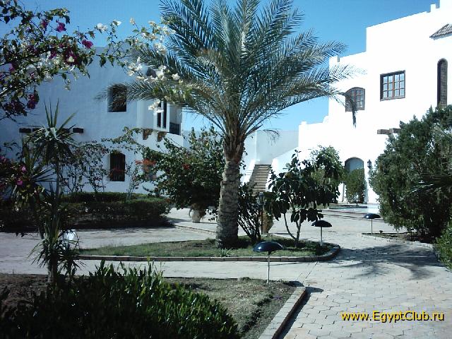 ��� ����