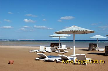 ����� ����.