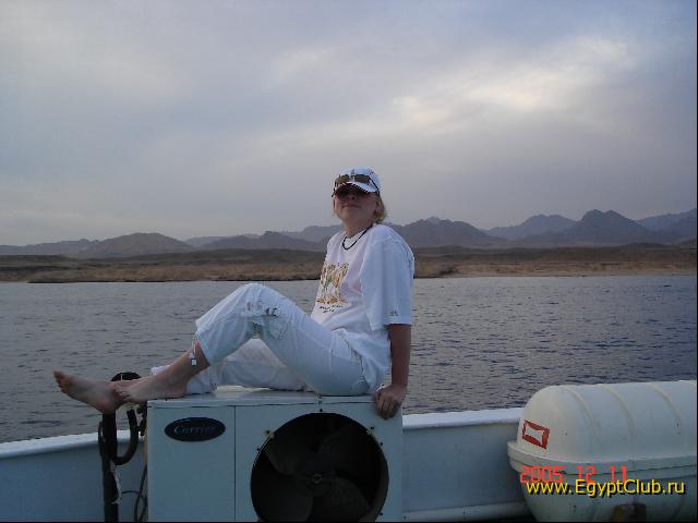 � ����� �����