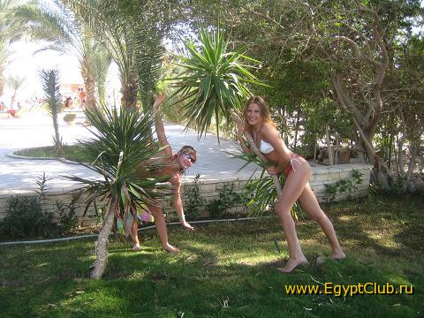 �� ���������� ����� Sindbad Beach