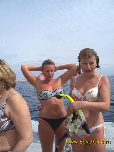 ������� ����