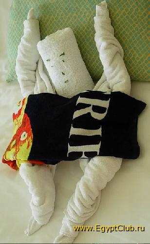 ���� �� ���������