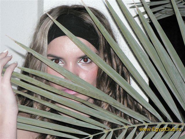 �� �������