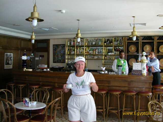 #31 - �������-���������