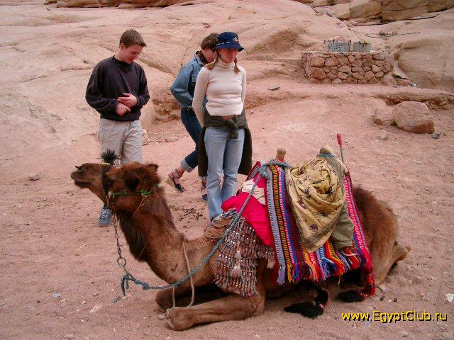 � ��������� � ��������