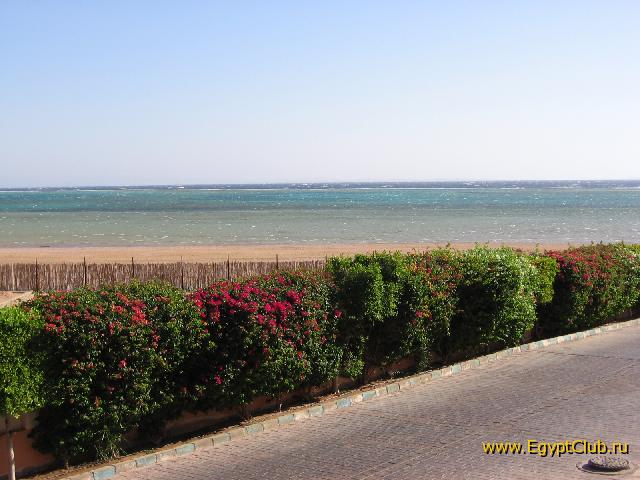 ��� � �������