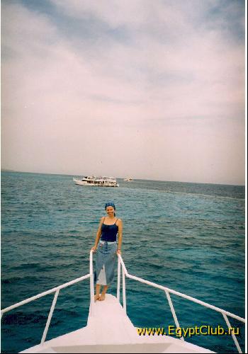 ������� ������� ����