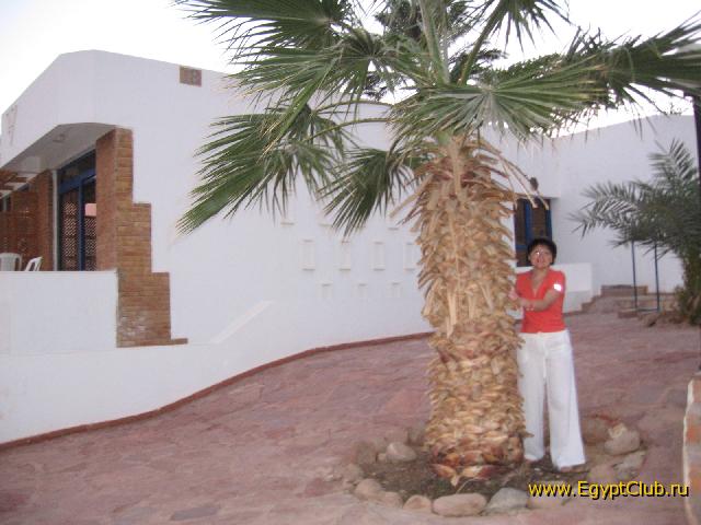 ���� �������, 4 ���� ������,,,