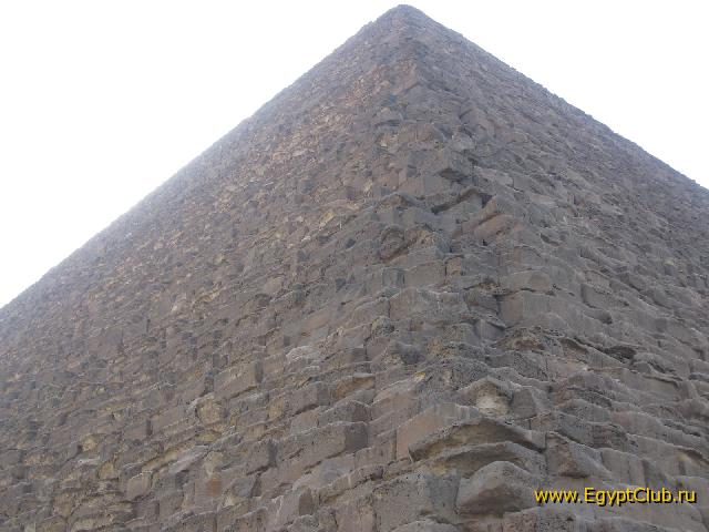 ���� �����