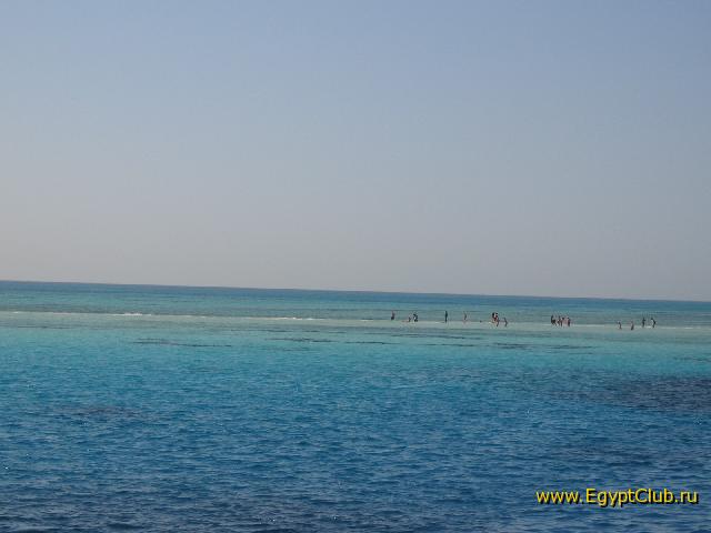 ������� ������