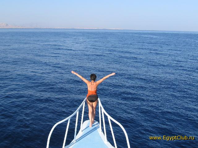 �������-2