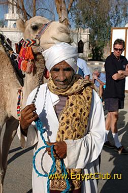 C ���������.