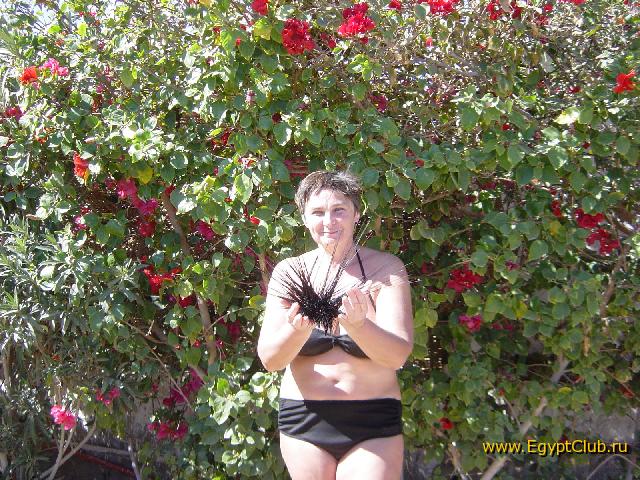 ����� ����