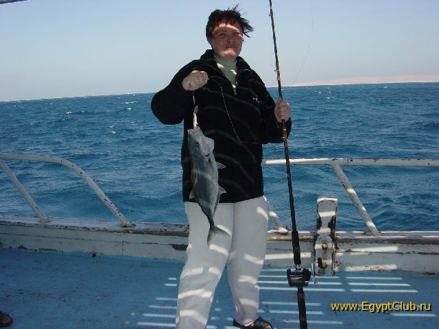 ����� ����