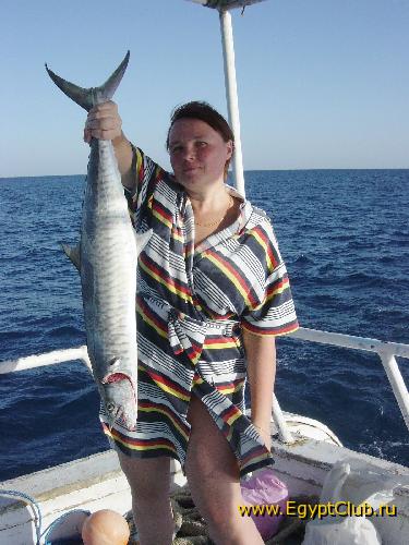 ����� ����