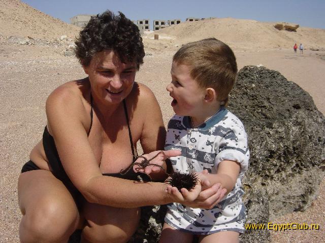 ����� ����