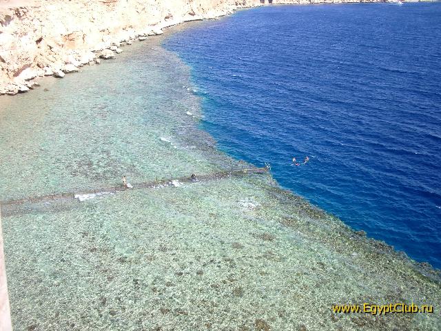 ���� � ������� ������