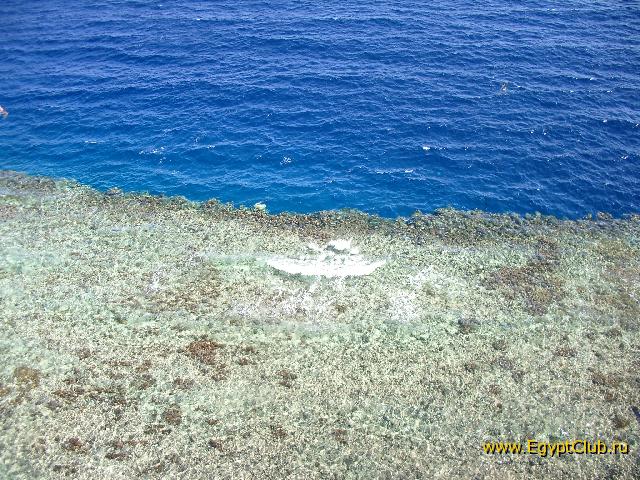 ��� ������ �� ������� � �����