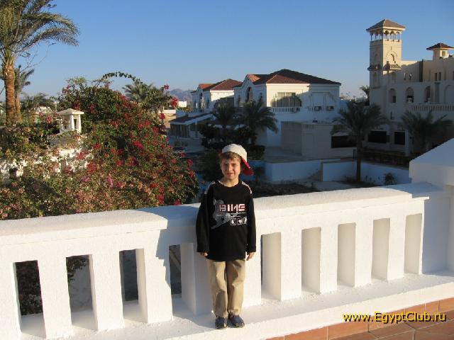 �����������������