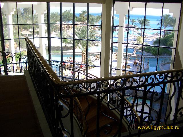 ����� �����. �������� � ��������