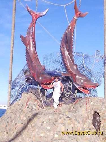 ������� ���