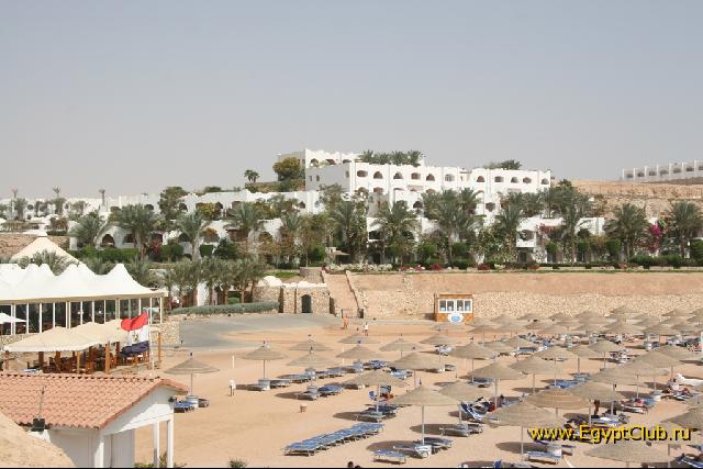 51-� ������ �������