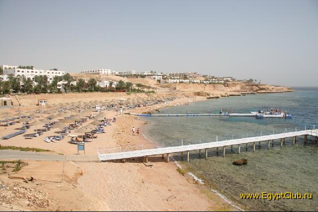 ���� ������� � ��������