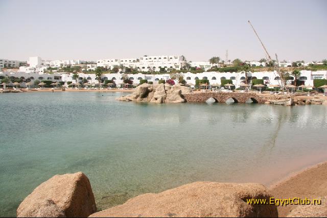 ����� �����