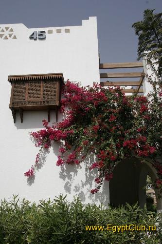 �������� ��� �������� ����������� ��������