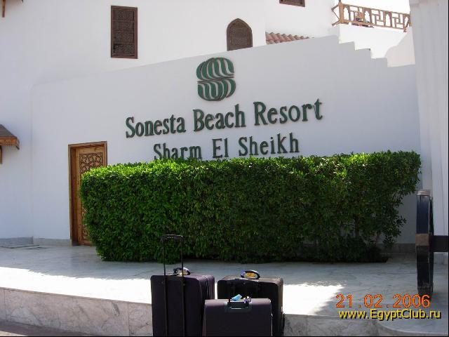 �����. ����