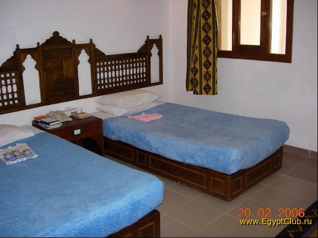 ���� �������