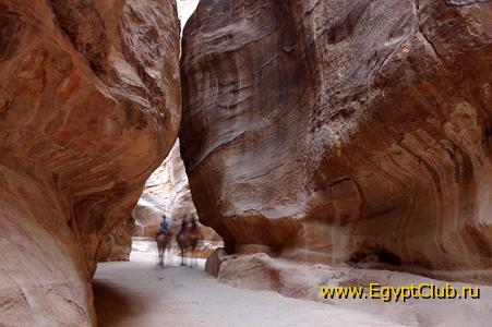 ��� ��������.