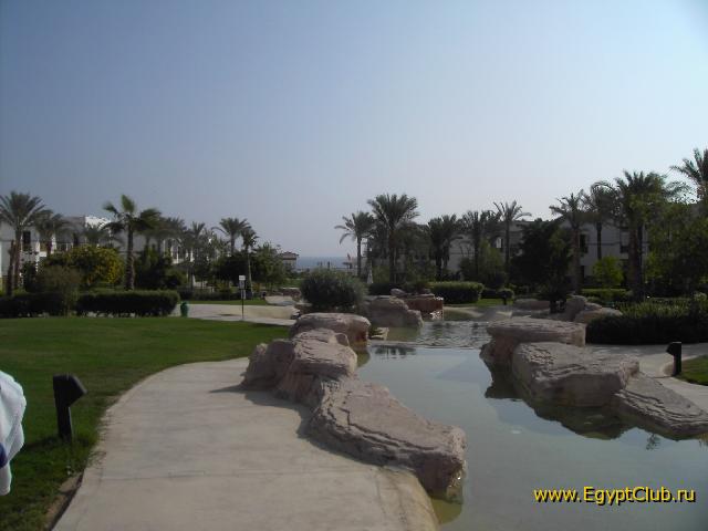 ��� �� ����