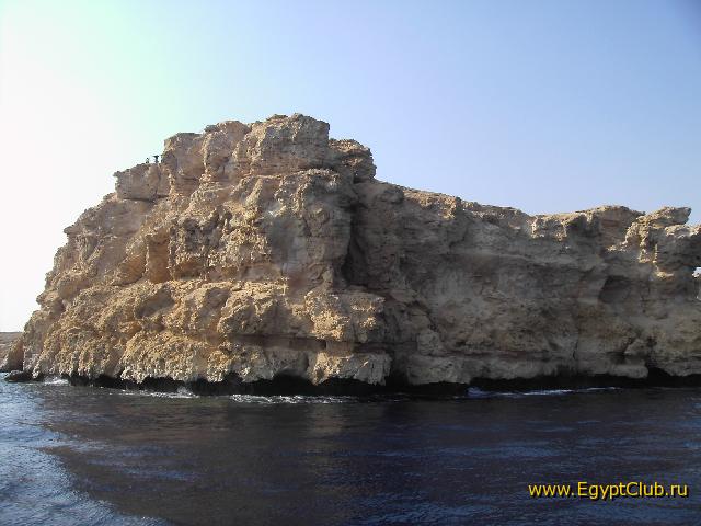 ���� ��� �������