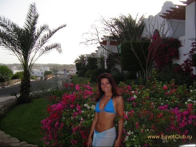 P����� Domina