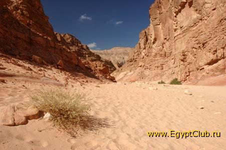 ���� � �����