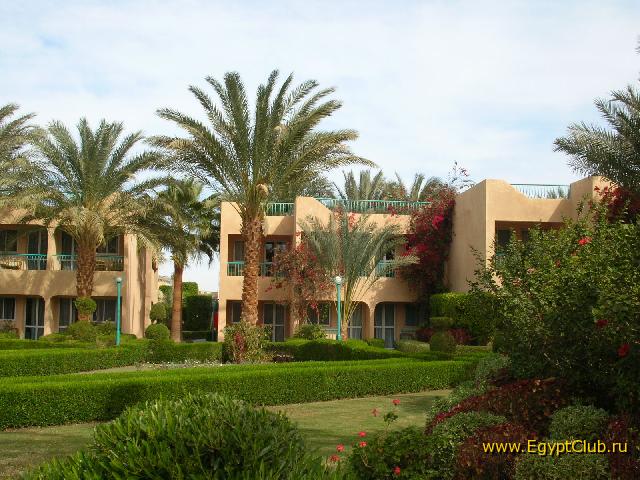 ������� ��� ������ �����