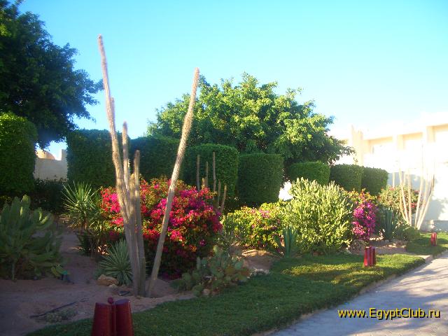 �� ���������� �����