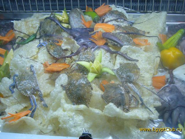 � ������ ���������