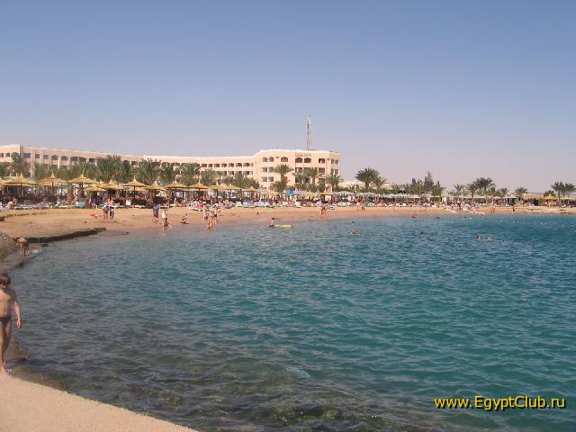 ���� Beach Albatros