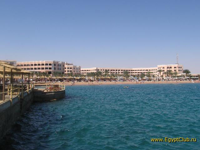 ���� Beach Albatros