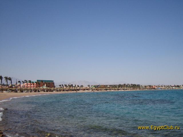 ���� ������ 5