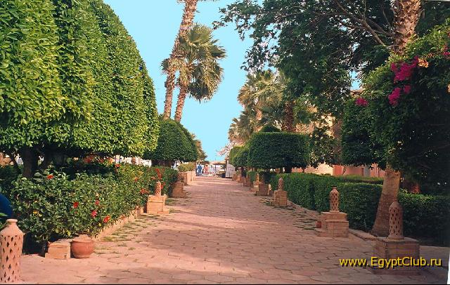 ��� ��������!