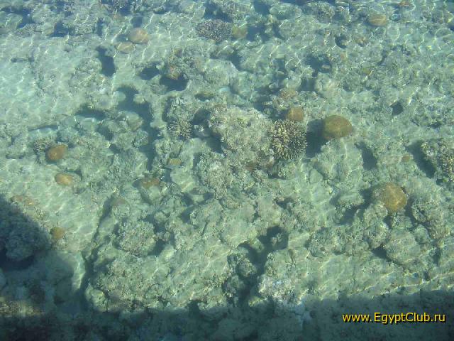 ������� ���������.