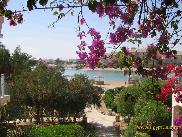 ����� �������� ���-���� ���� �5