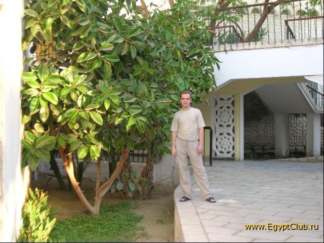 ���-����2